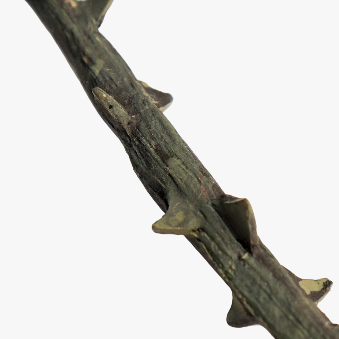 Death Eater Wand - Thron 3