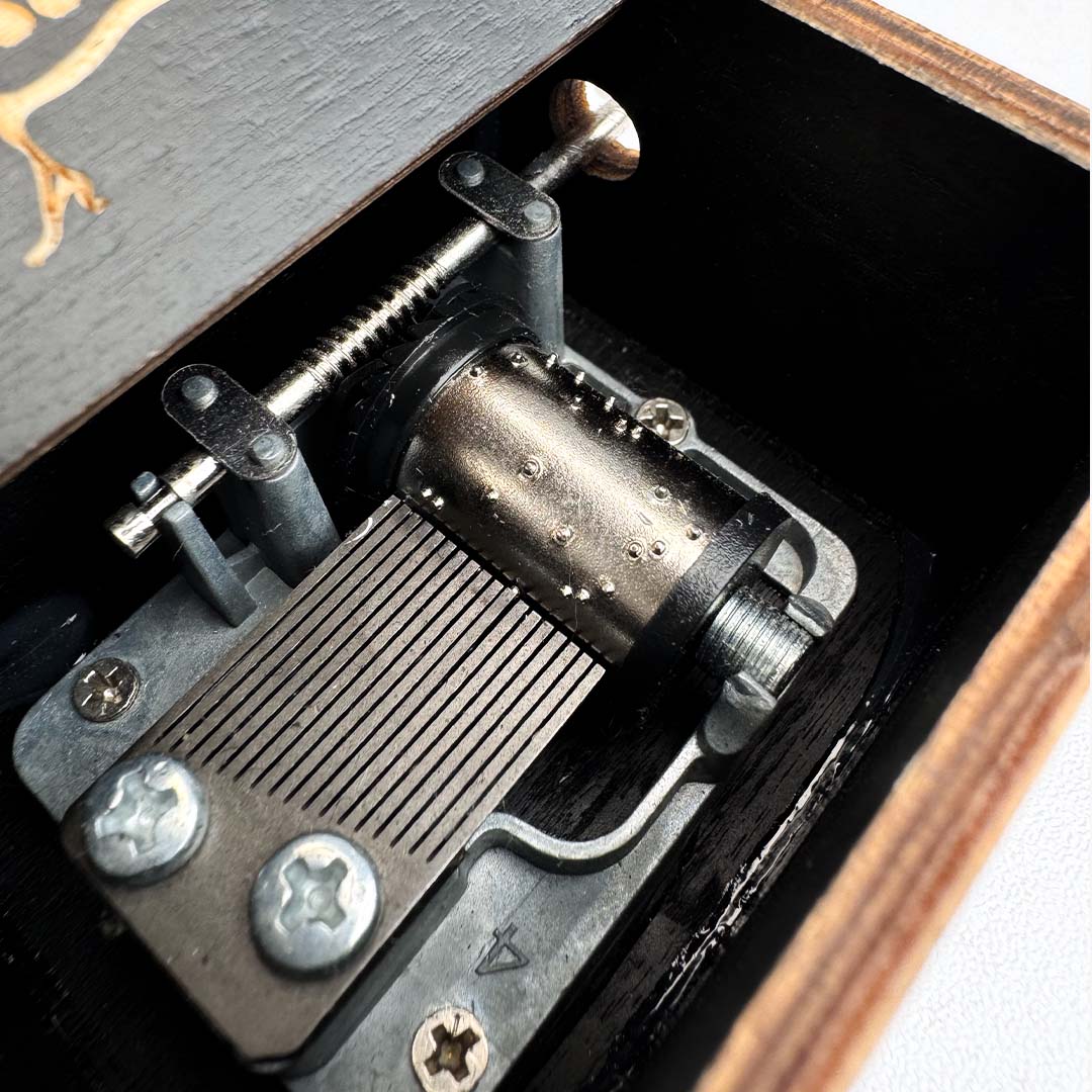 Magic in the Progress Musical Box 2